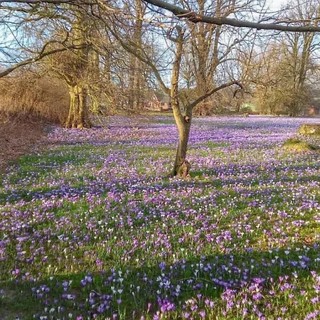 Villa Morgenthau - Hideaway zwischen den Meeren Ferienhaus