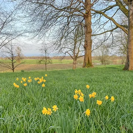 Historisches Mit Outdoor-sauna Ostenfeld (Nordfriesland)
